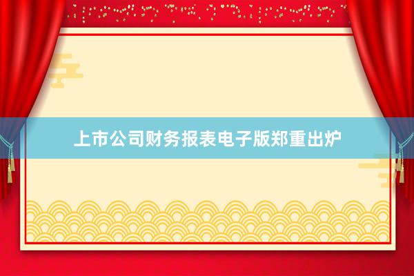 上市公司财务报表电子版郑重出炉