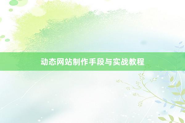 动态网站制作手段与实战教程